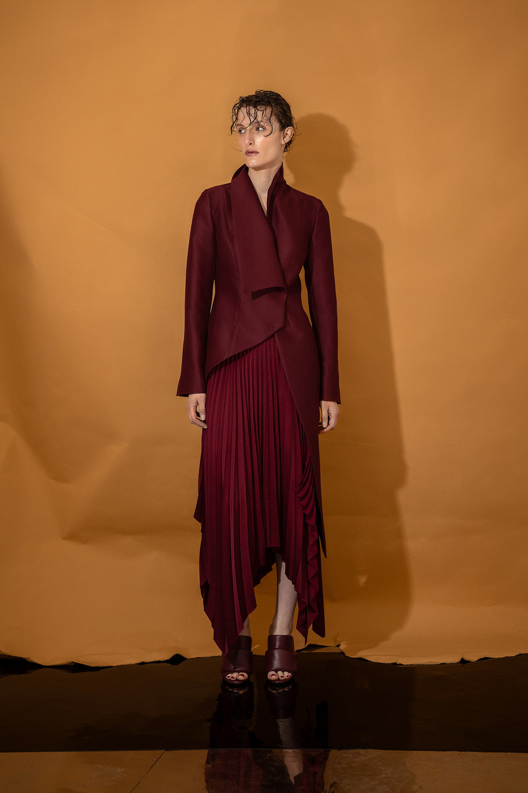 Pleated Draped Dress