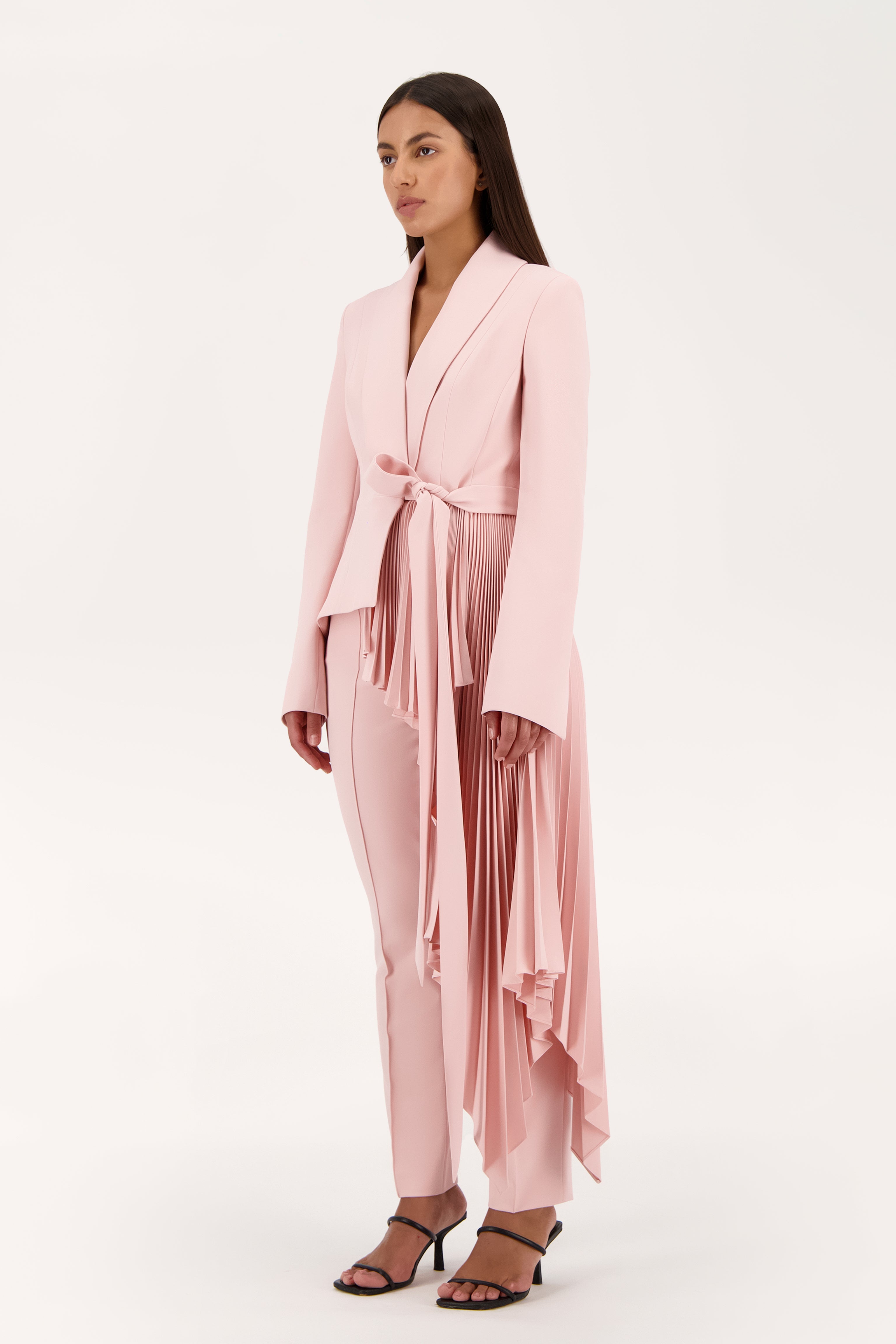 Signature tuxedo jacket with pleats