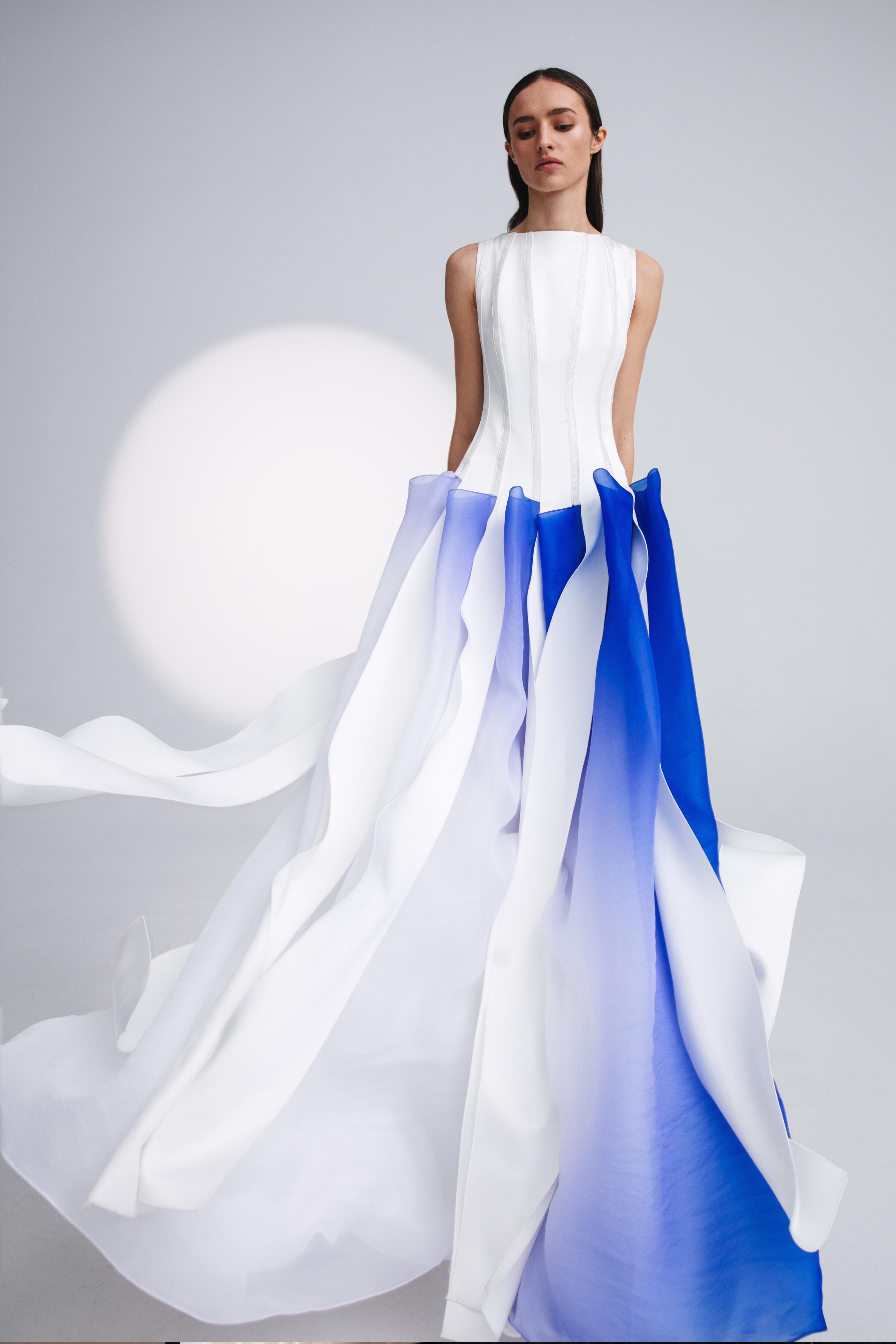 Lucid embroidered gown